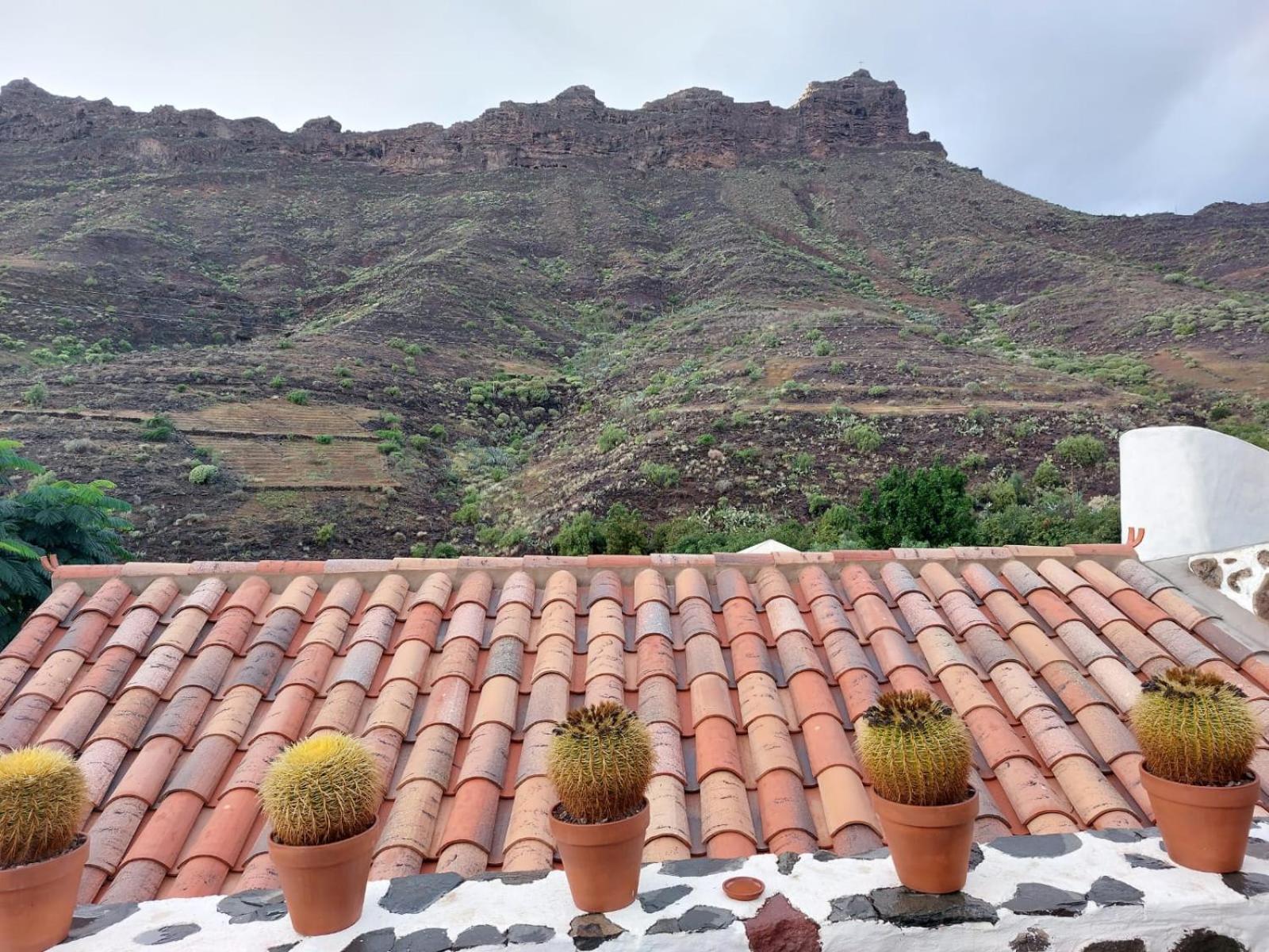Historica Casa Con Vistas Al Jardin De Cactus Y Montanas Villa Mogán Eksteriør billede